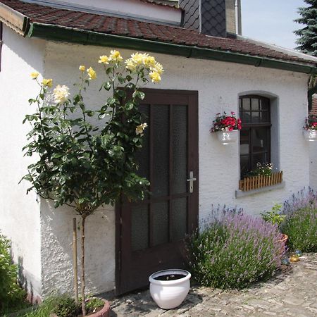 3 Seiten Ferienwohnung Jena Exteriör bild