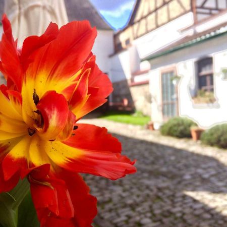 3 Seiten Ferienwohnung Jena Exteriör bild