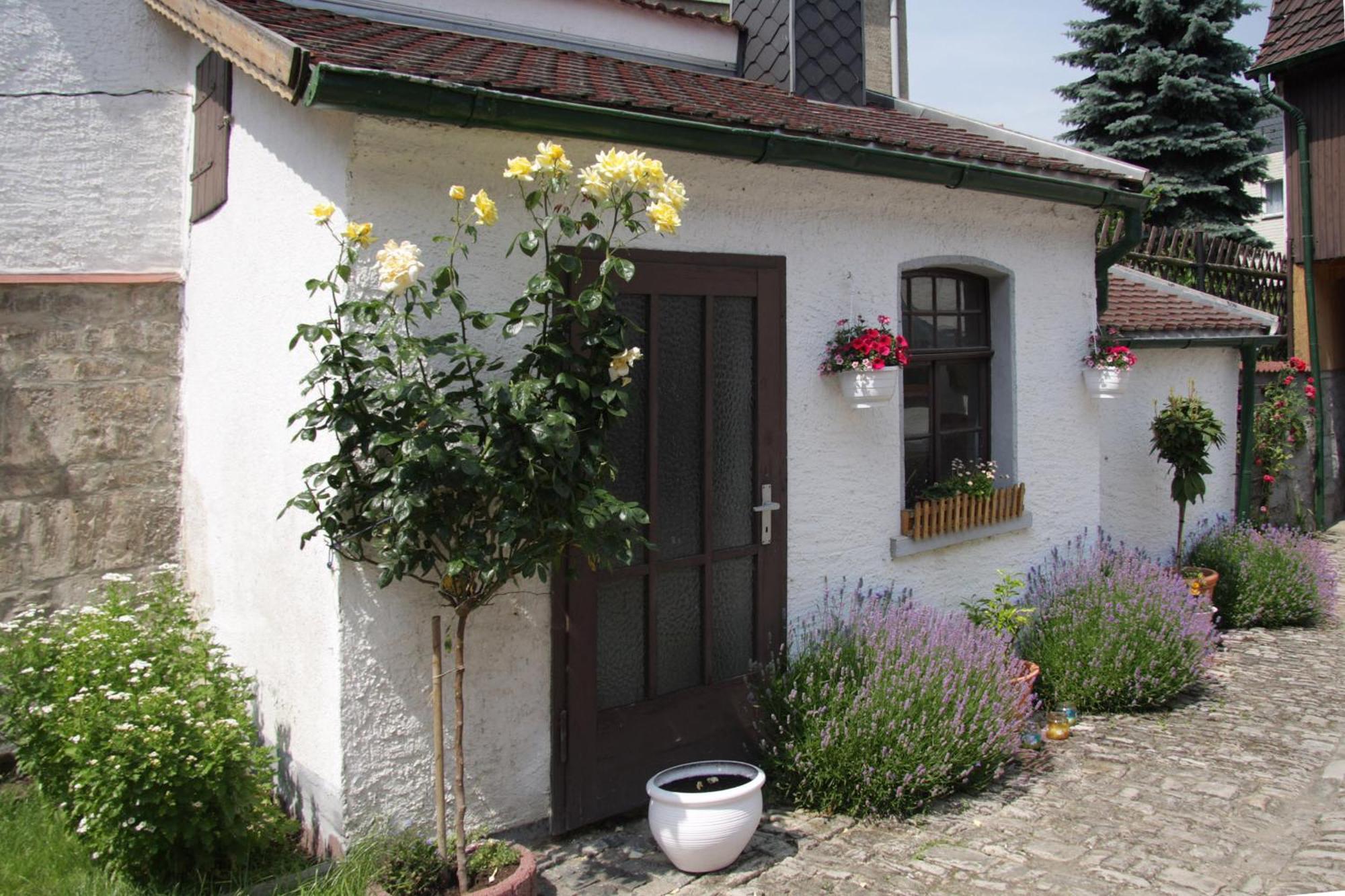 3 Seiten Ferienwohnung Jena Exteriör bild