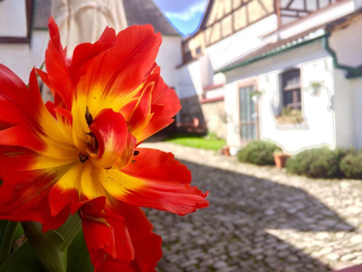 3 Seiten Ferienwohnung Jena Exteriör bild